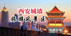 日嫩骚b中国陕西-西安城墙旅游风景区