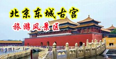 美女日b视频在线观看中国北京-东城古宫旅游风景区